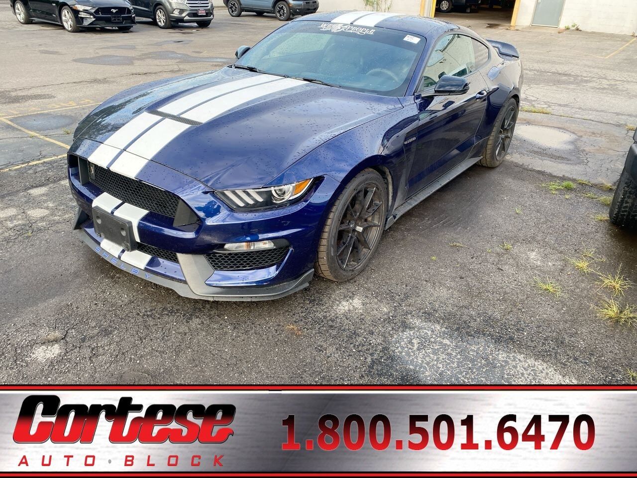 2020 FORD Mustang