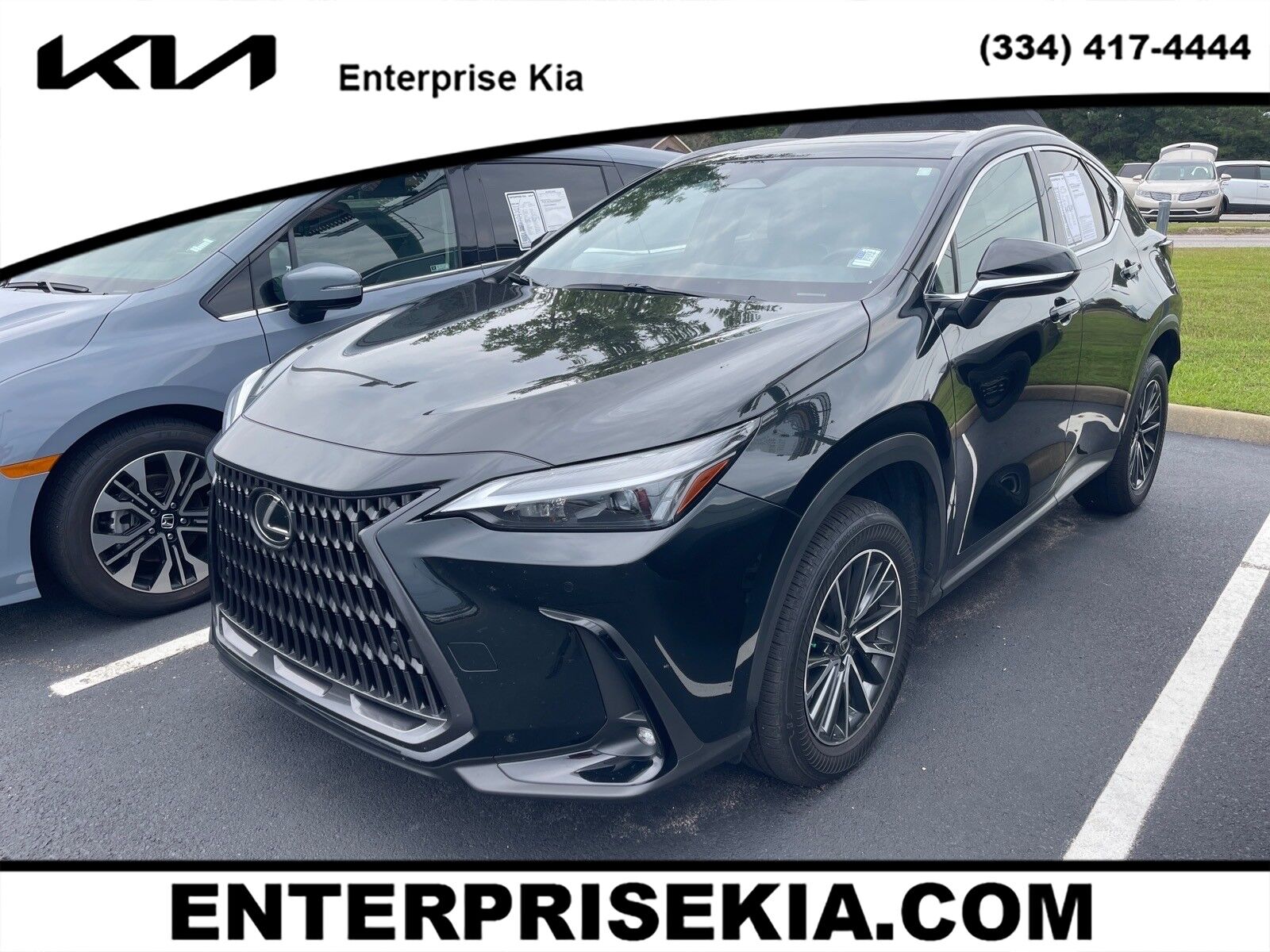 2024 LEXUS NX