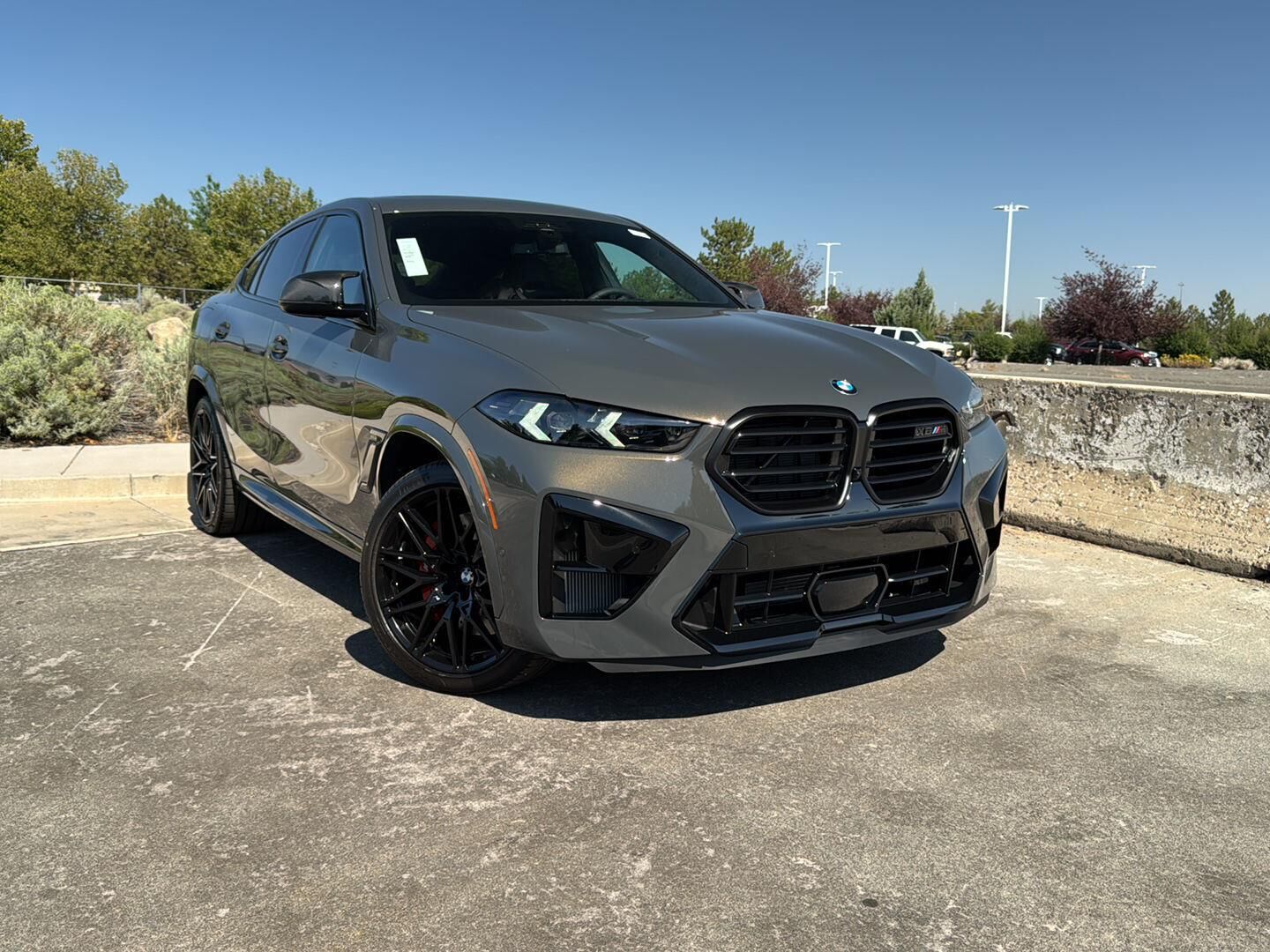 2027 BMW X6