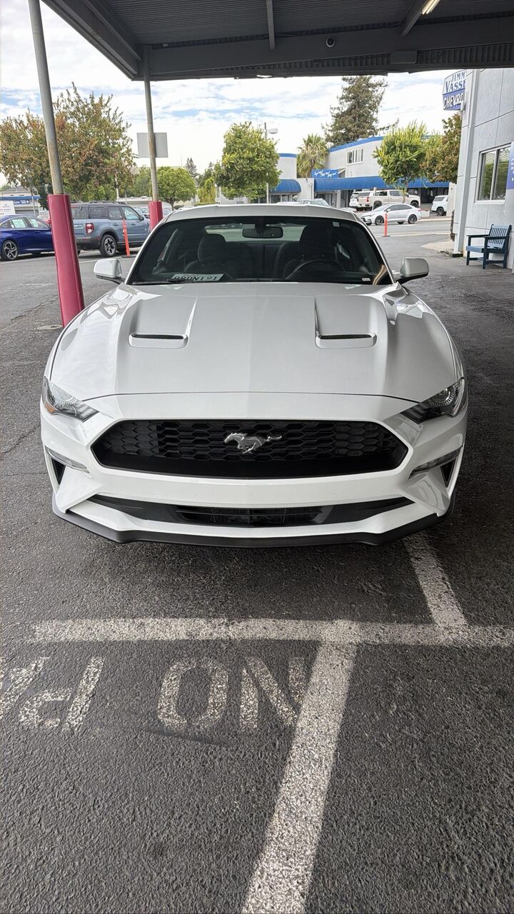 2019 FORD Mustang