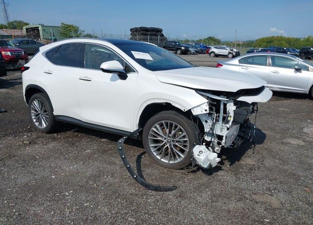2024 LEXUS NX