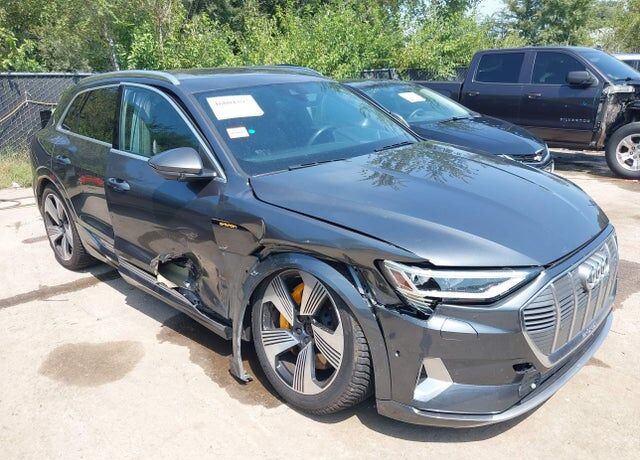 2019 AUDI e-tron