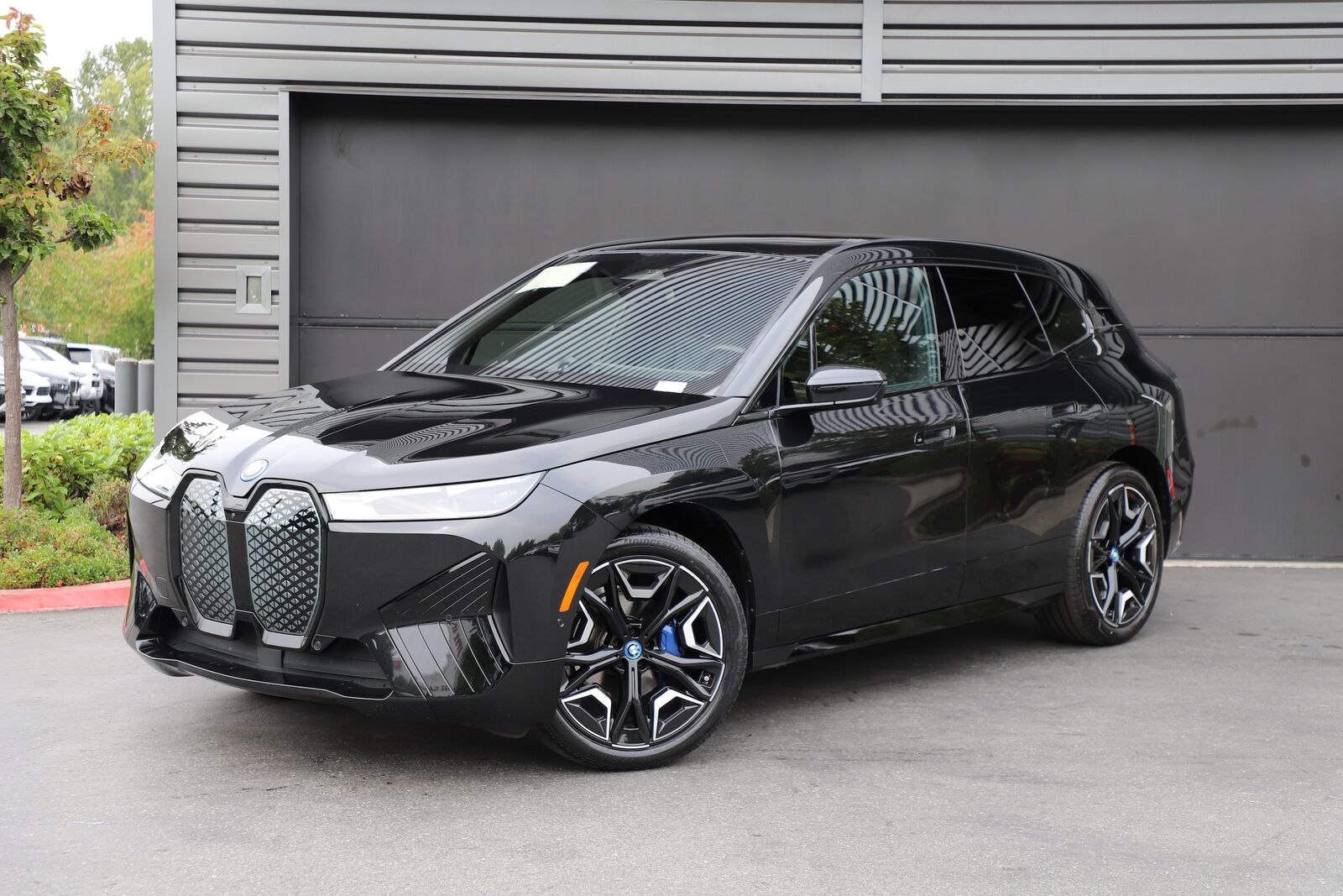 2025 BMW ix