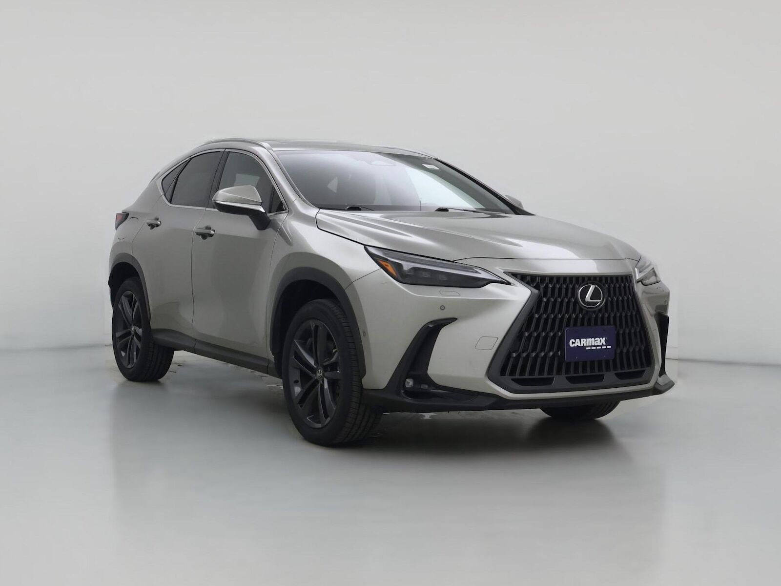 2024 LEXUS NX