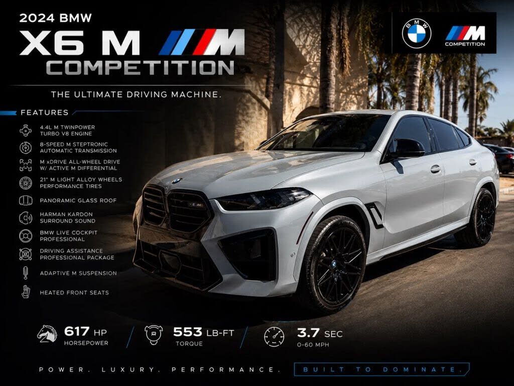 2024 BMW X6