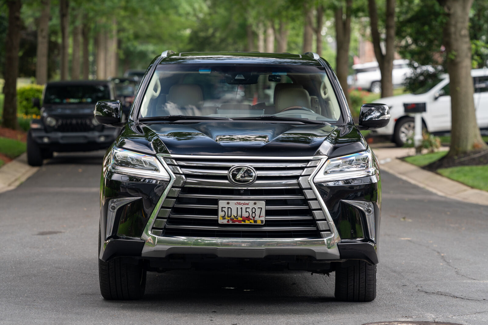 2019 LEXUS GX