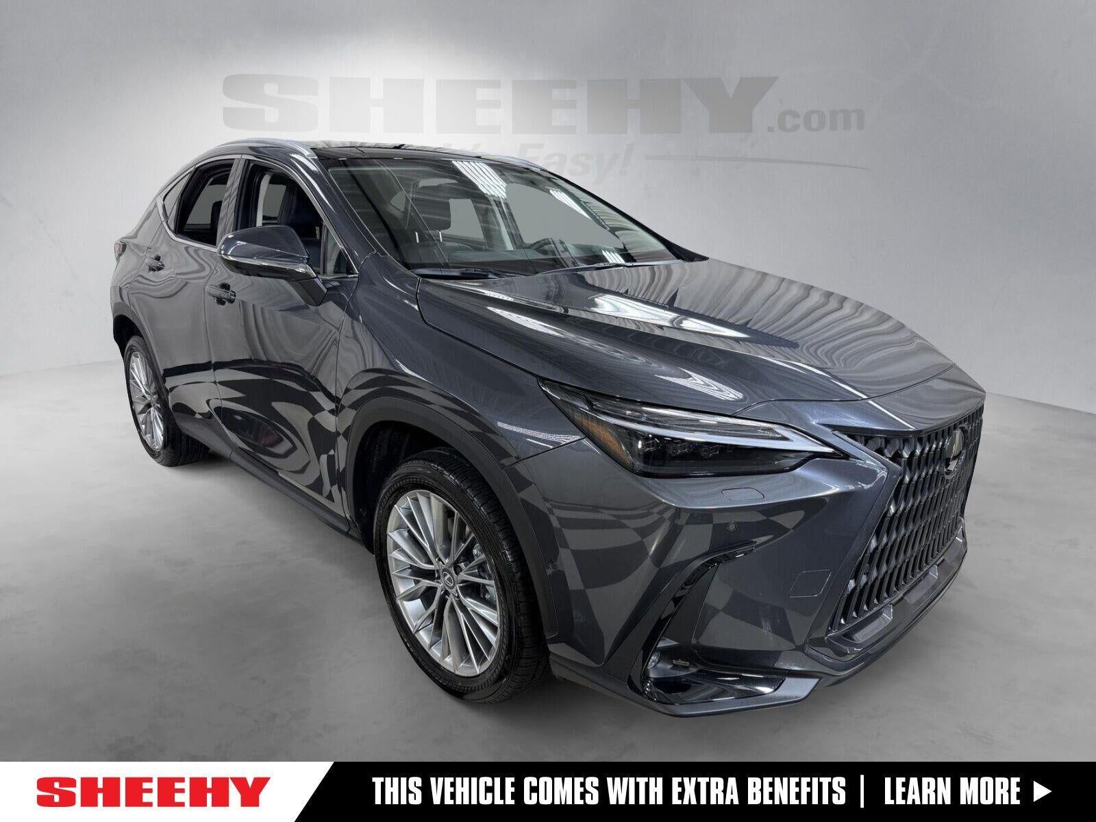 2026 LEXUS NX