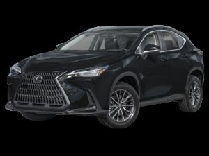 2025 LEXUS NX