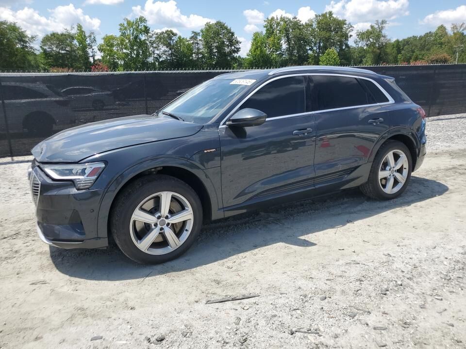 2019 AUDI e-tron