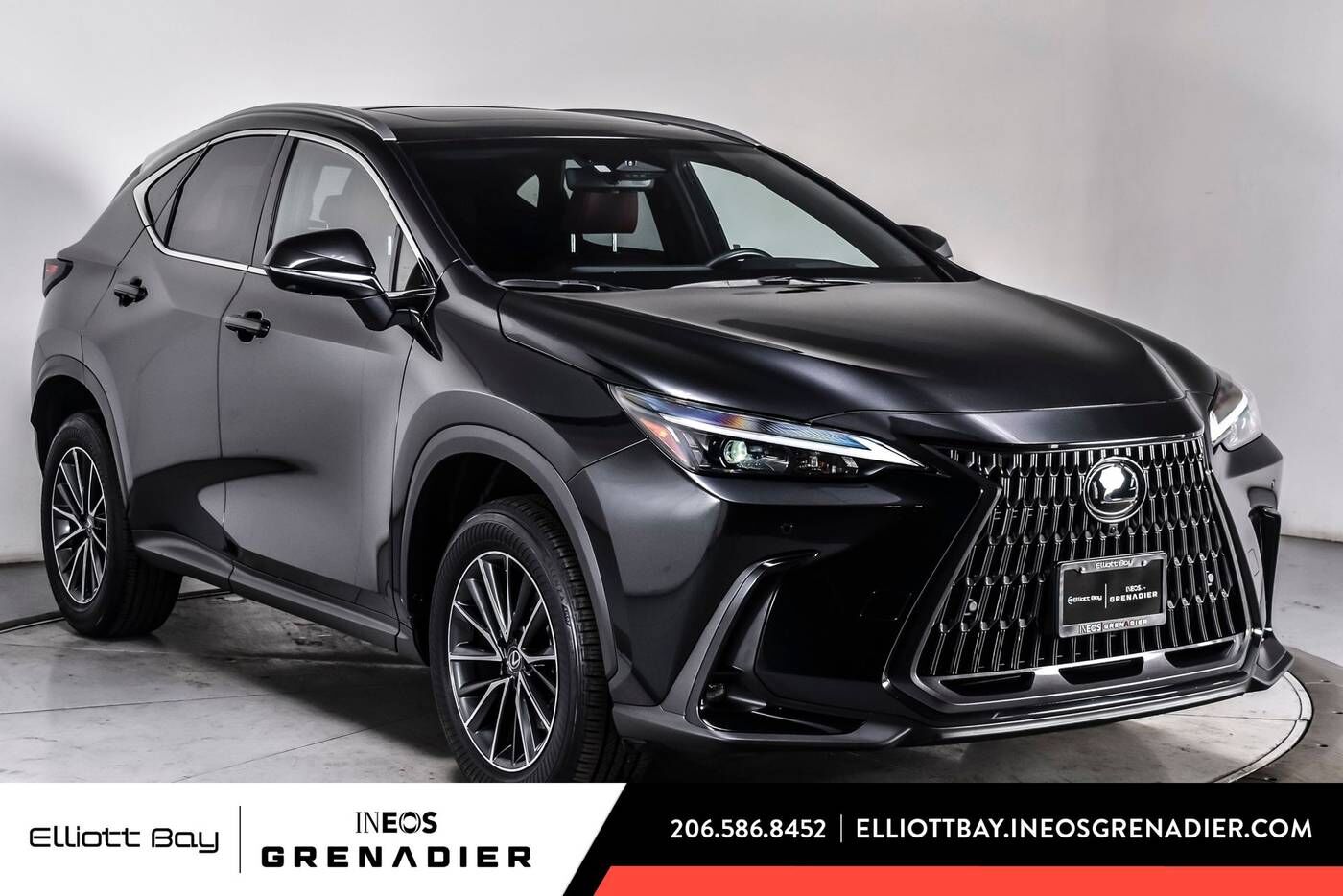 2024 LEXUS NX