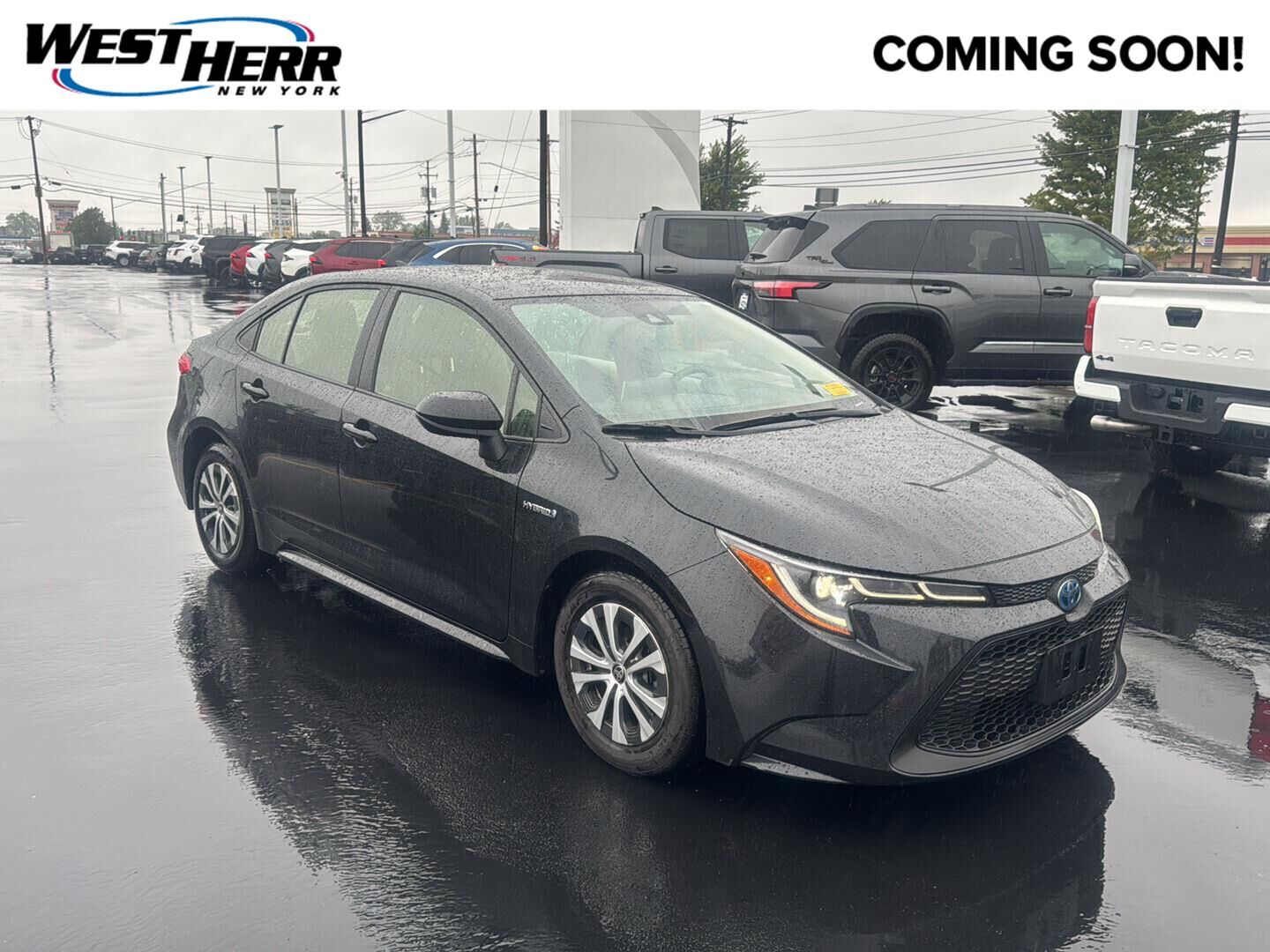 2020 TOYOTA Corolla