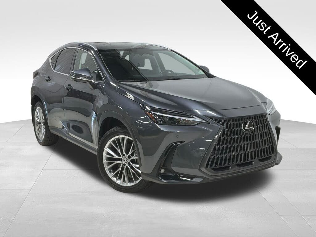 2025 LEXUS NX