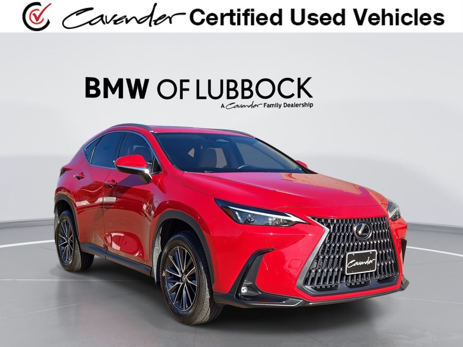 2024 LEXUS NX