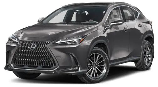 2025 LEXUS NX