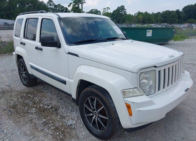 2010 JEEP Liberty