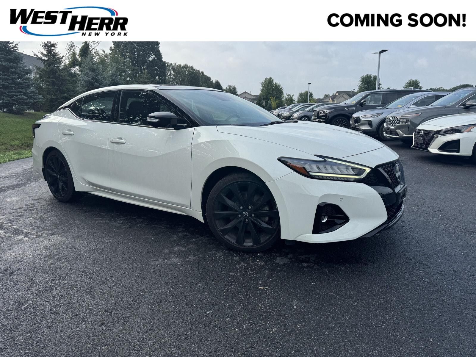 2023 NISSAN Maxima
