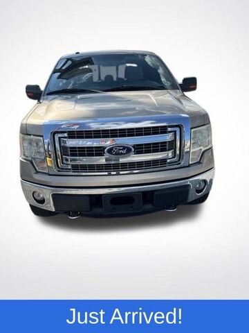 2013 FORD F-150