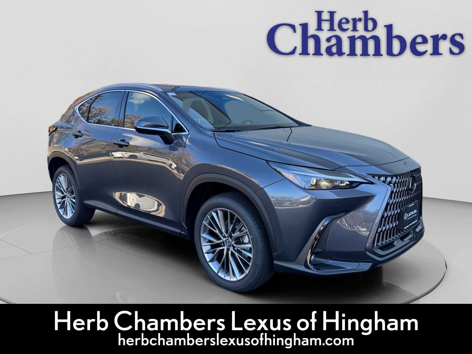 2026 LEXUS NX