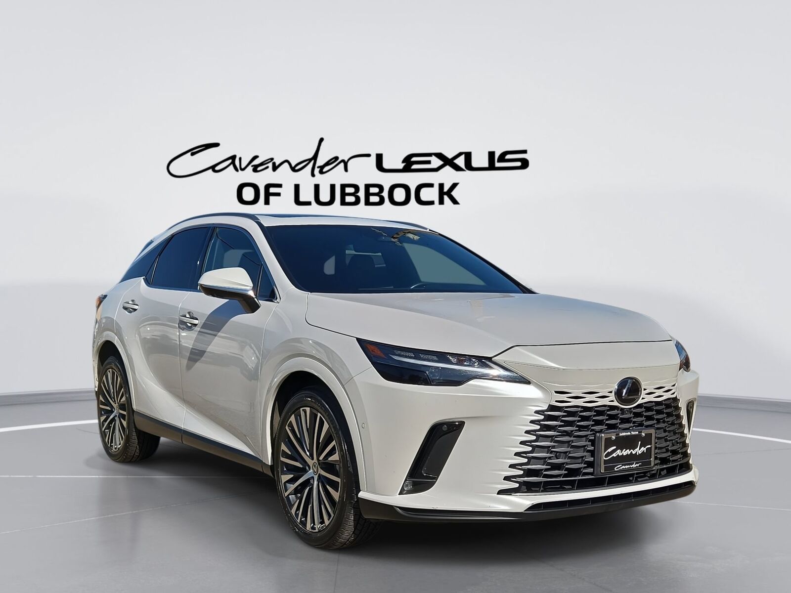 2024 LEXUS RX