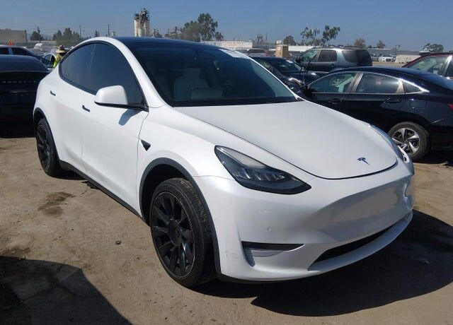 2021 TESLA Model Y