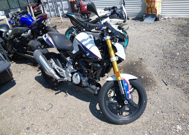 2019 BMW G 310 R