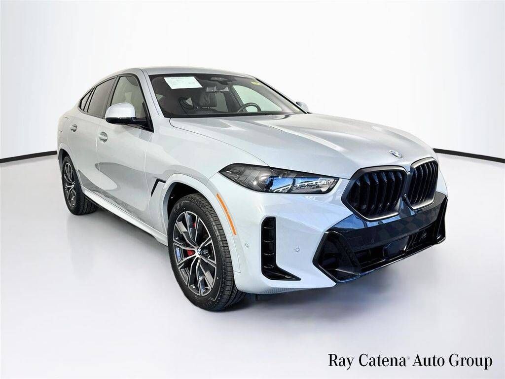 2024 BMW X6