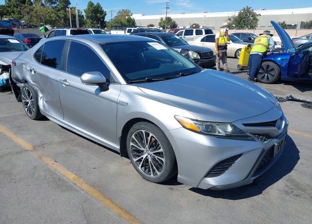 2019 TOYOTA Camry