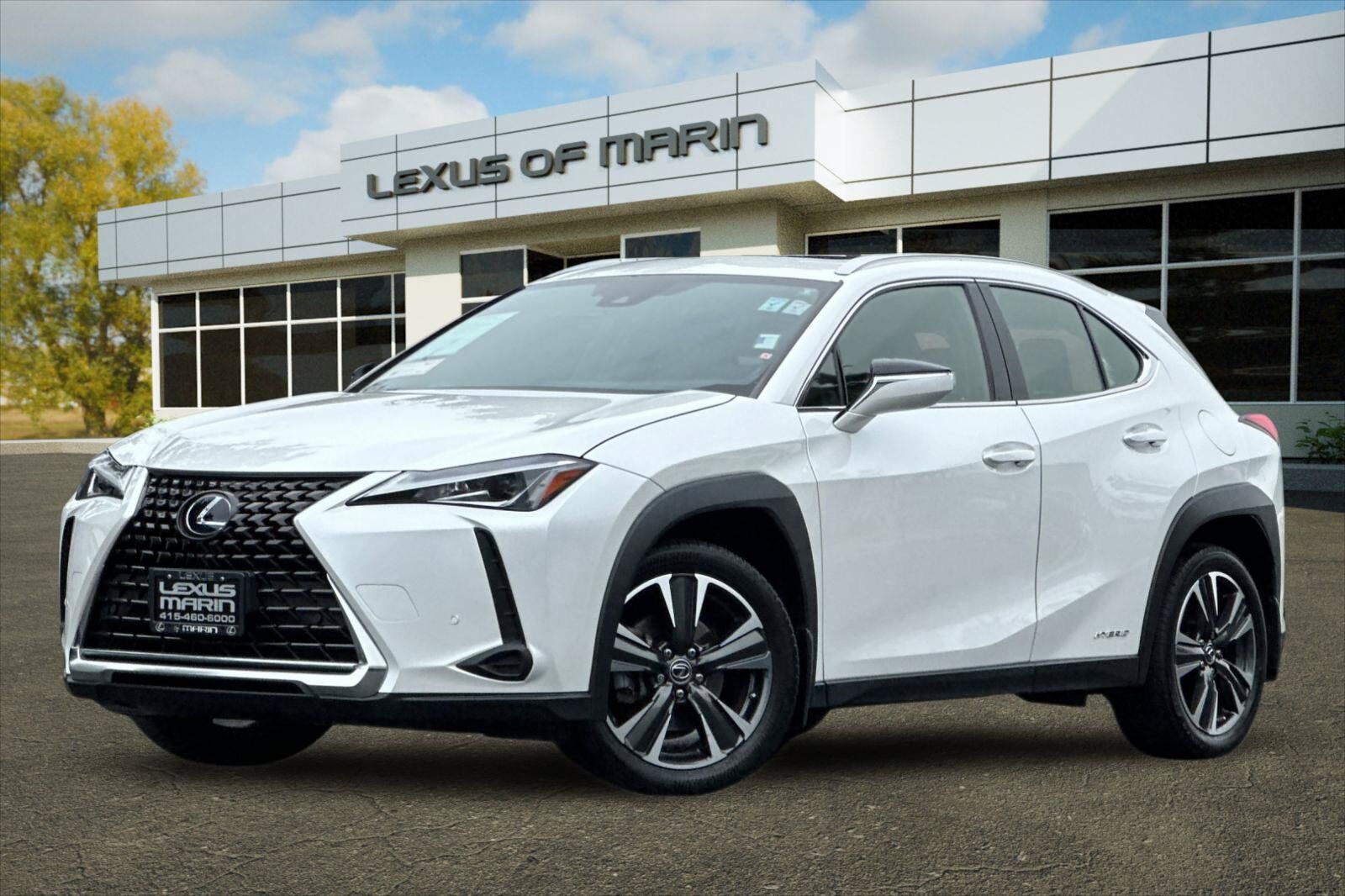 2020 LEXUS UX