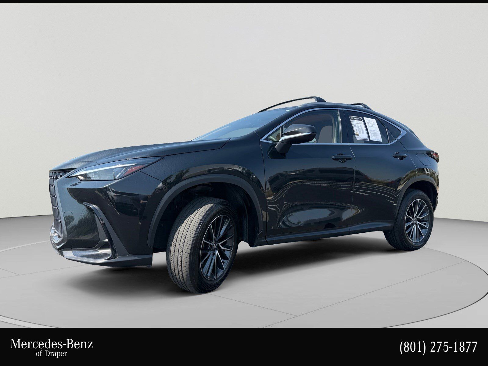 2024 LEXUS NX