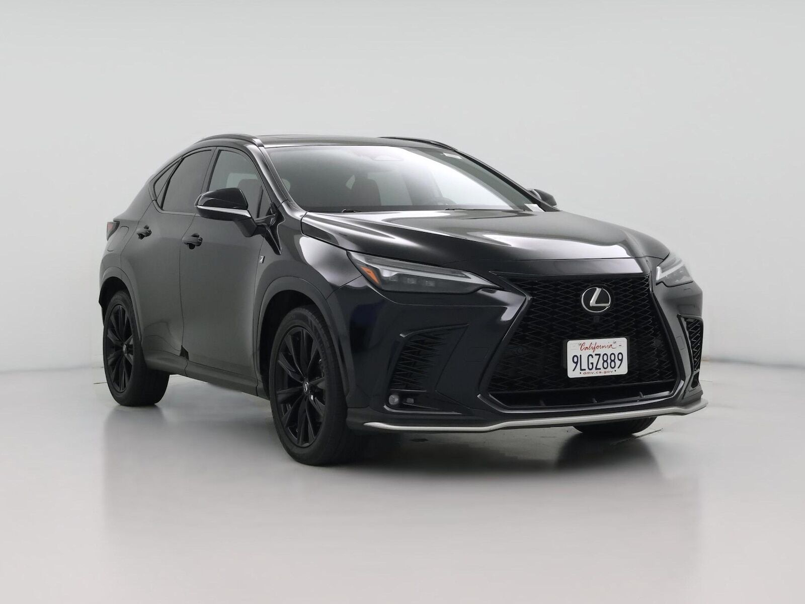 2024 LEXUS NX