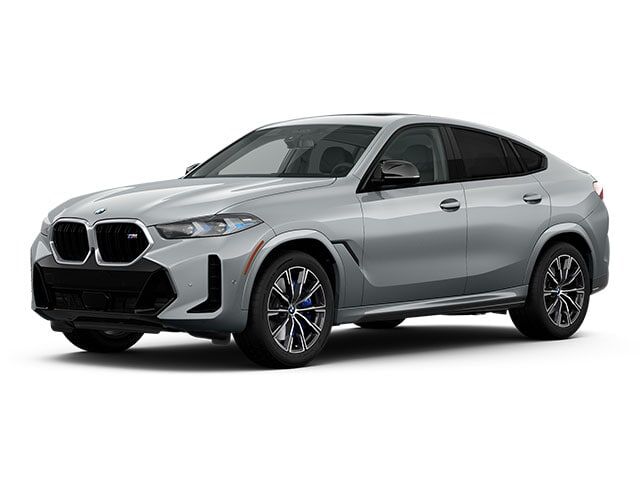 2025 BMW X6