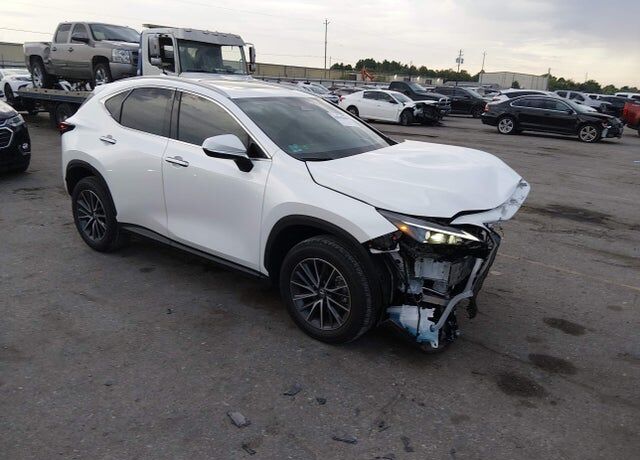 2025 LEXUS NX