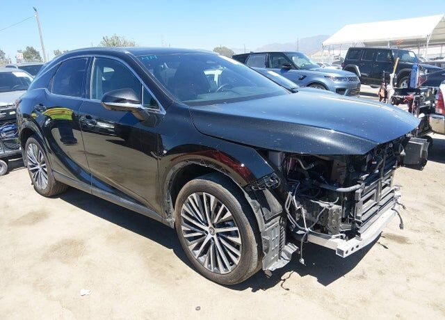 2025 LEXUS RX