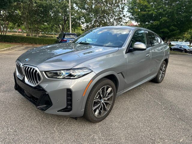 2025 BMW X6