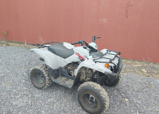 2023 YAMAHA Grizzly