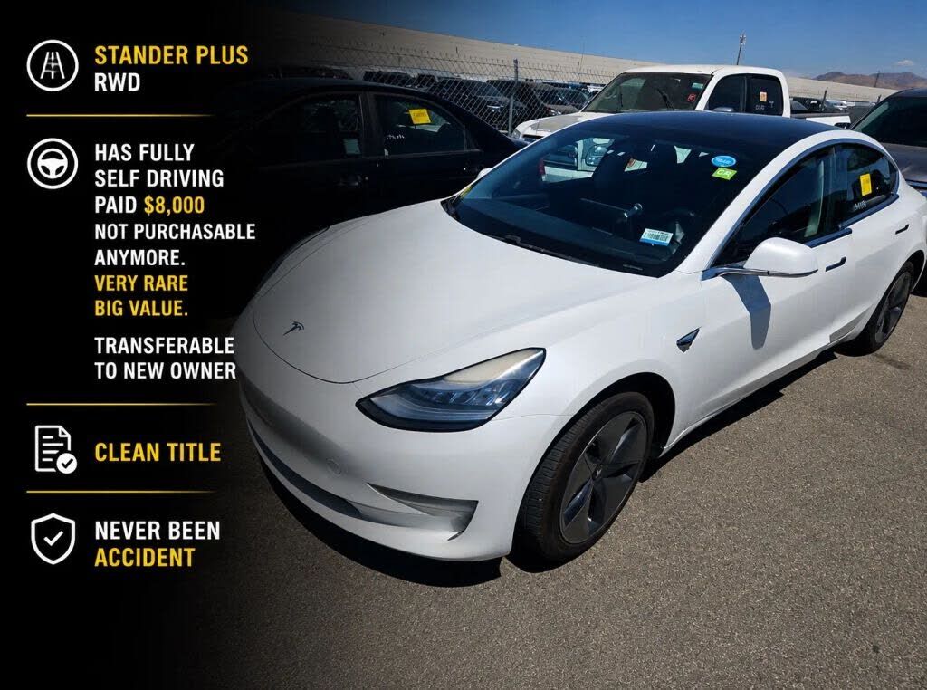 2019 TESLA Model 3