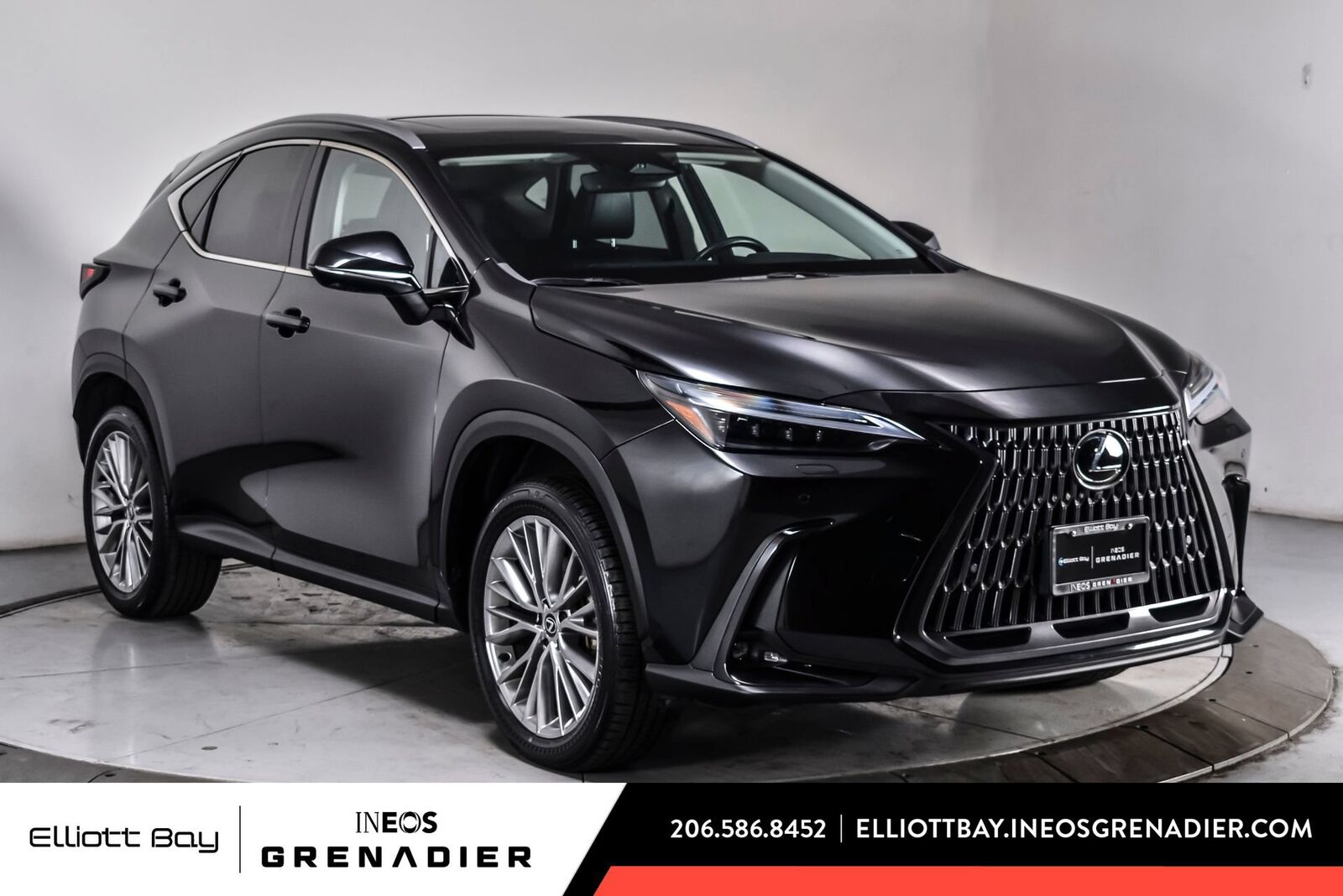 2024 LEXUS NX