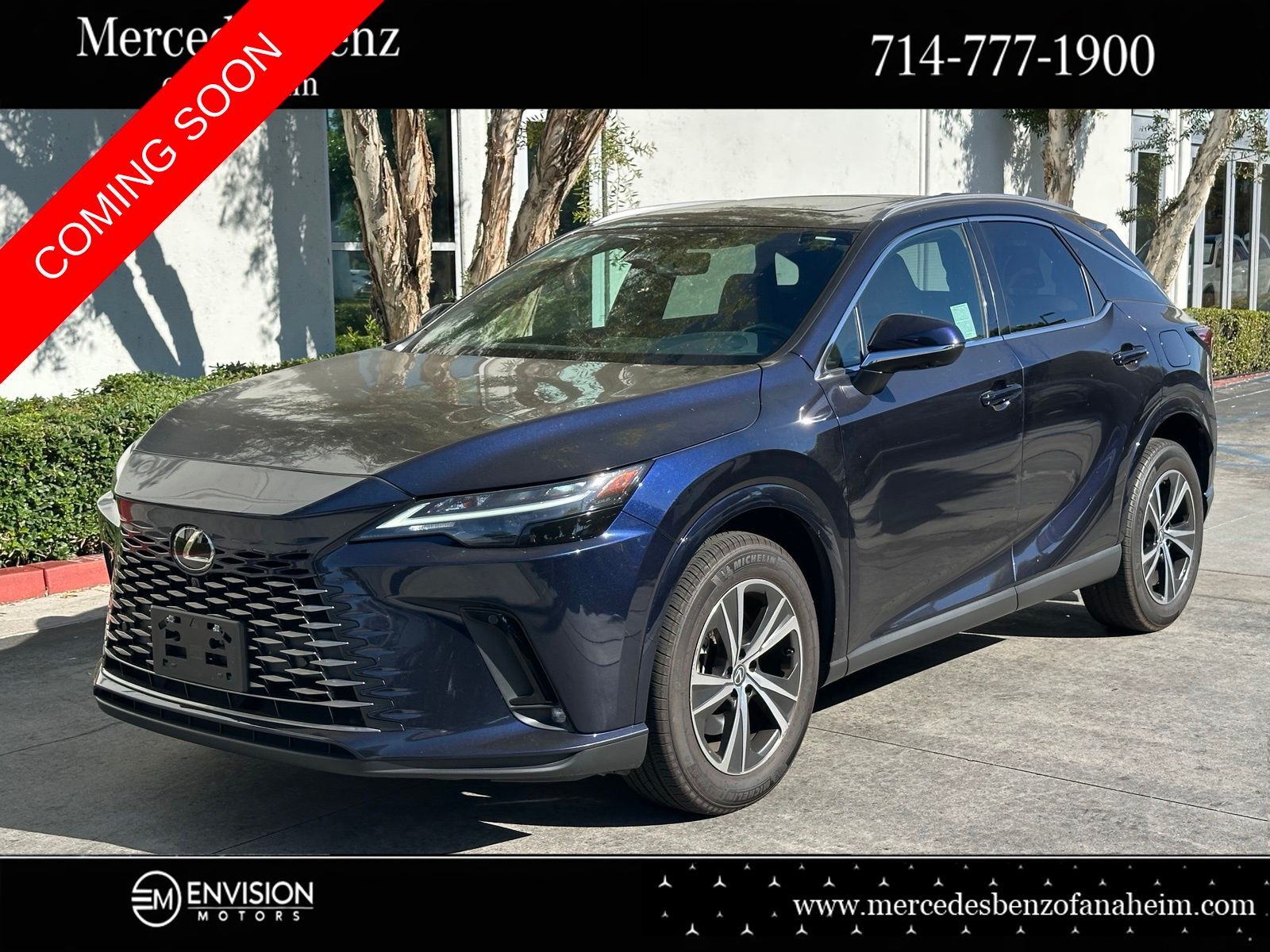 2024 LEXUS RX