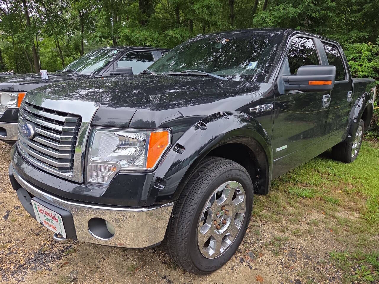 2011 FORD F-150