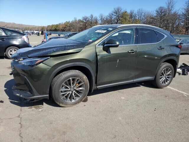 2024 LEXUS NX