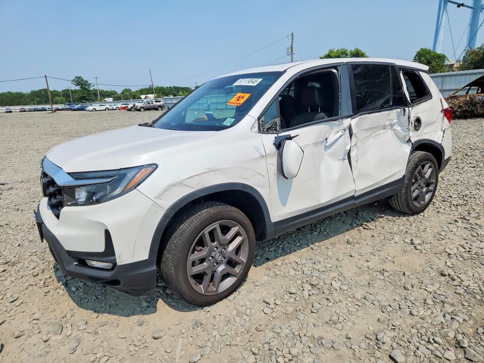 2023 HONDA Passport