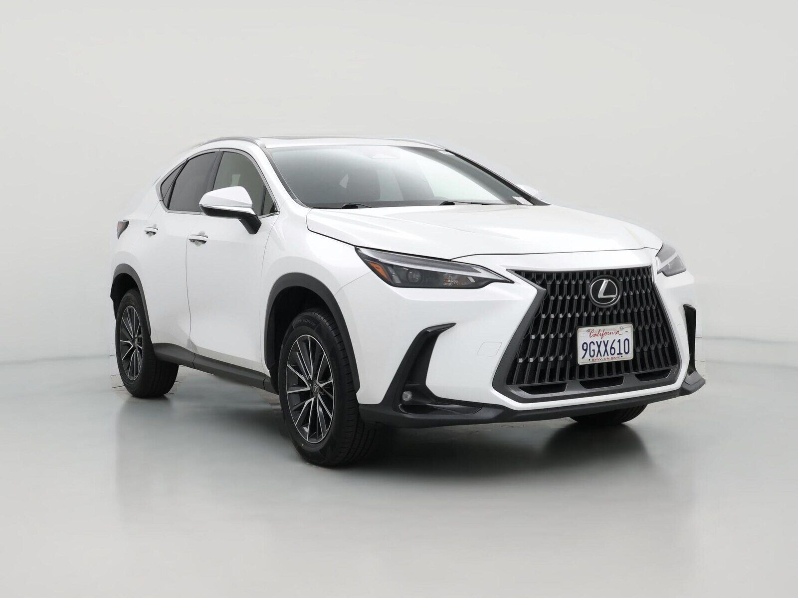 2024 LEXUS NX