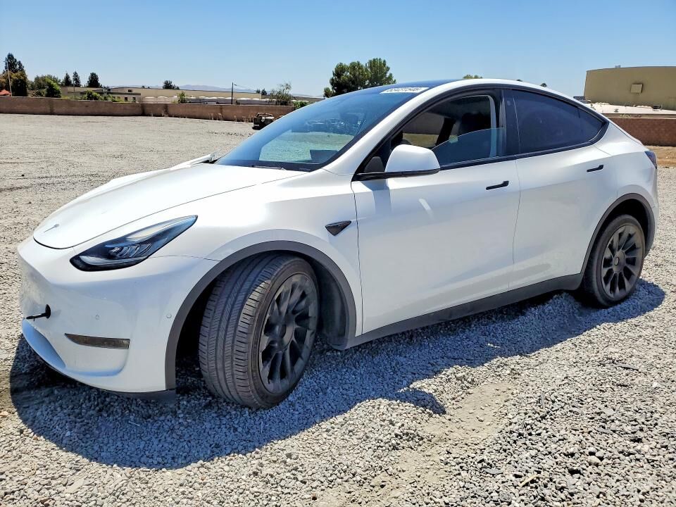 2021 TESLA Model Y