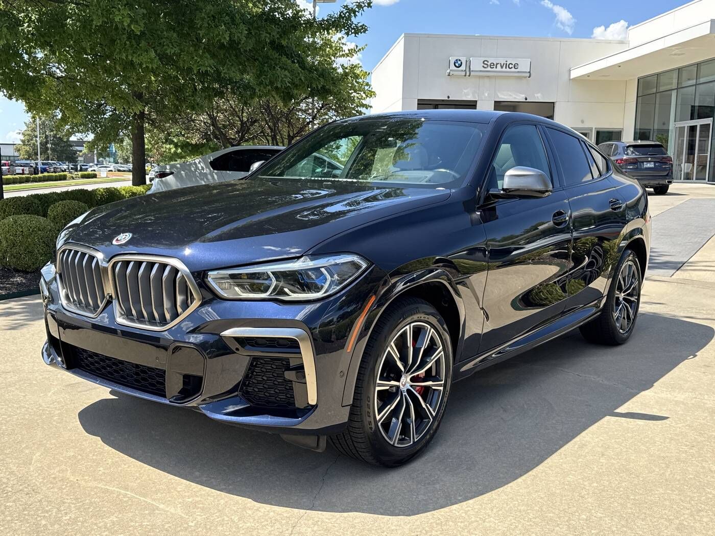 2023 BMW X6