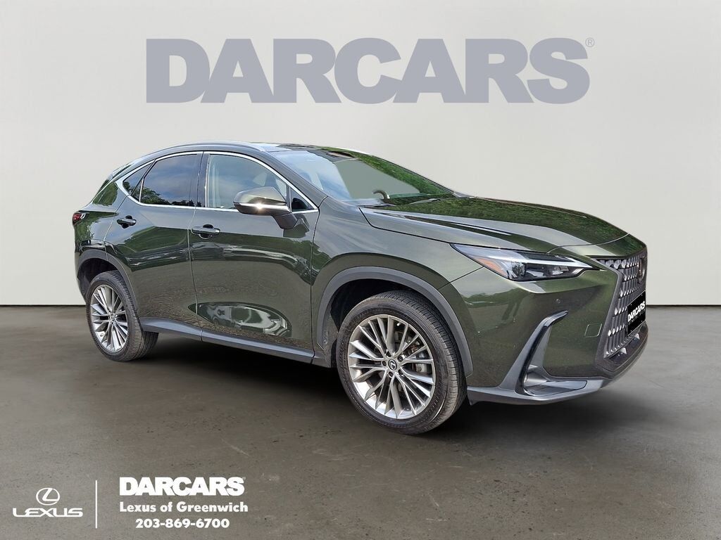 2022 LEXUS NX