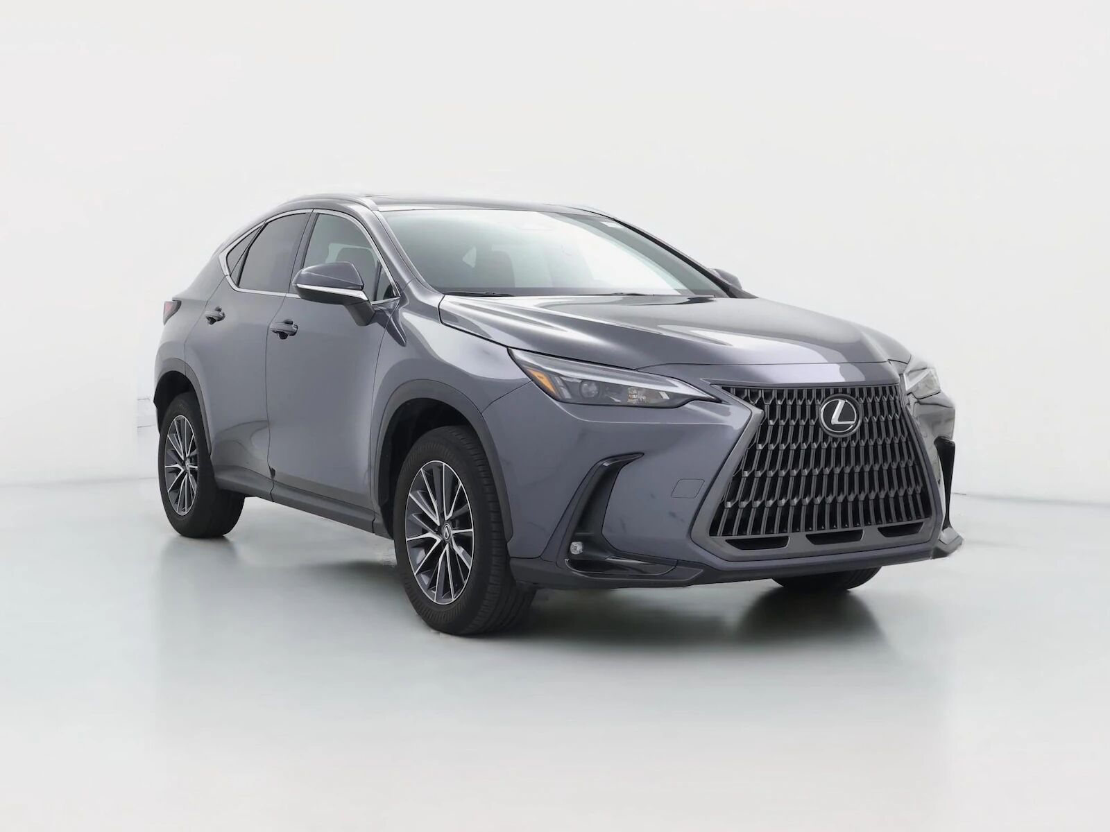 2024 LEXUS NX
