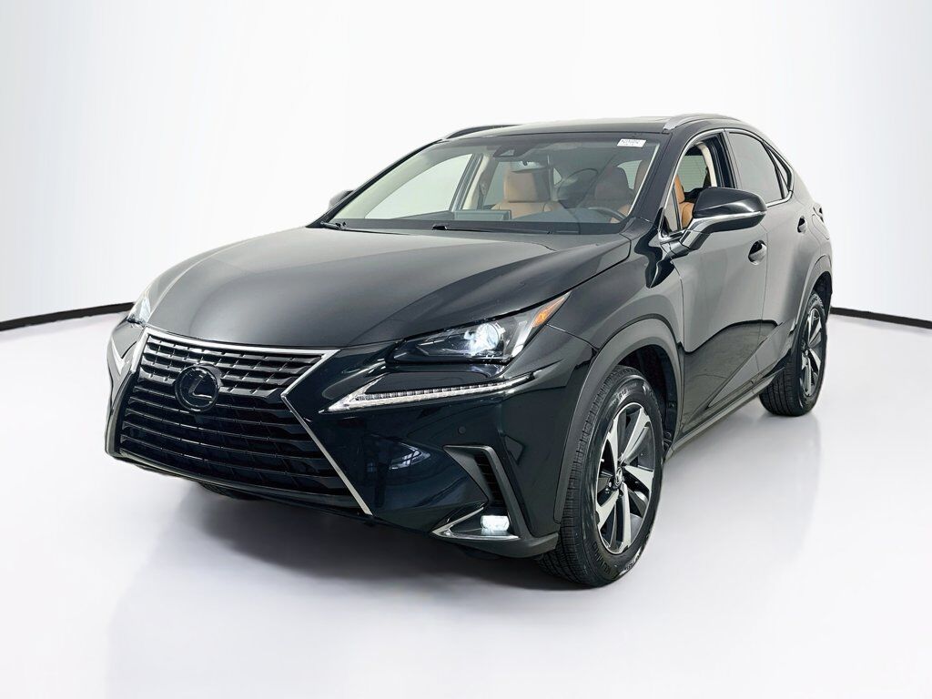 2019 LEXUS NX