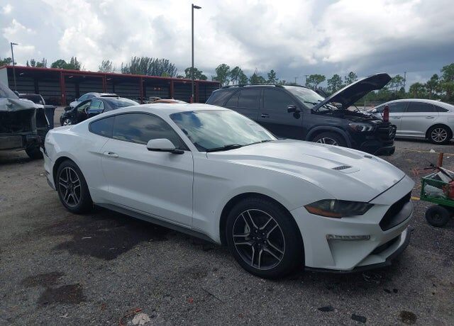 2019 FORD Mustang