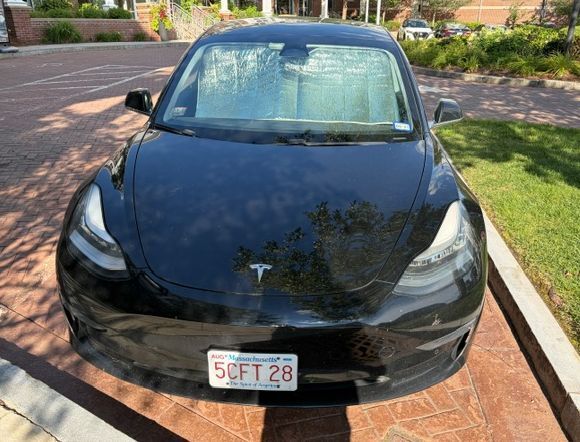 2020 TESLA Model 3