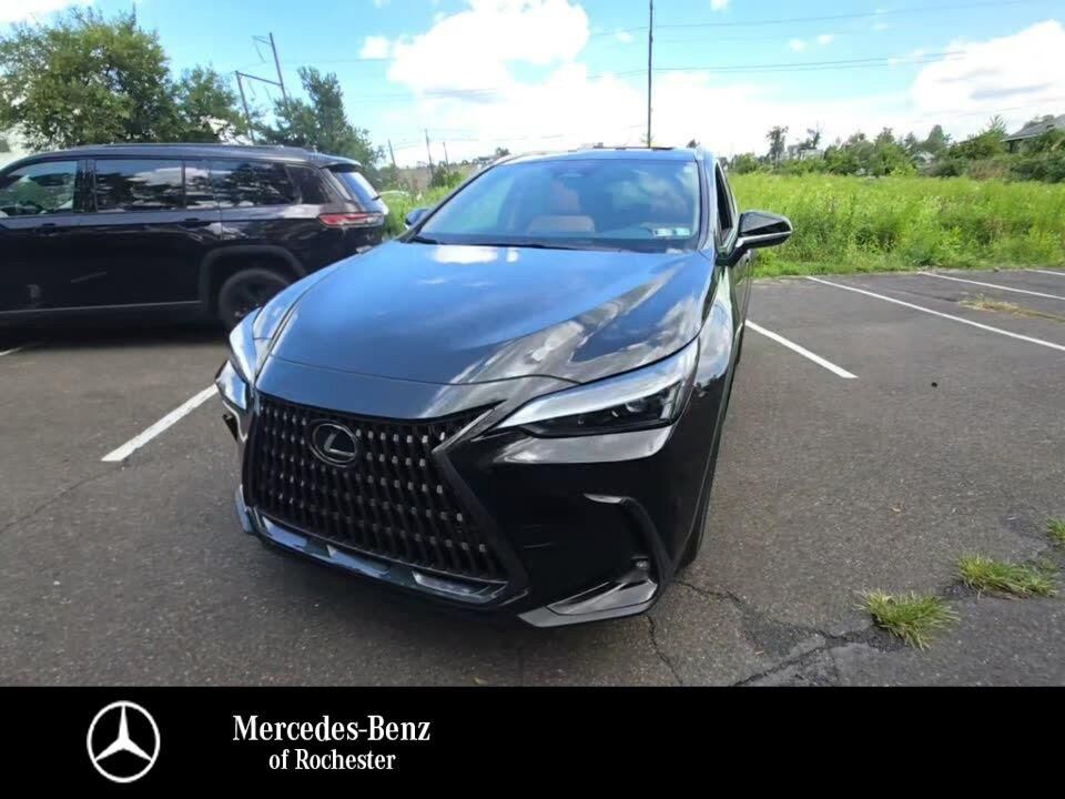 2024 LEXUS NX